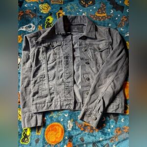 The Limited Gray Jean Jacket